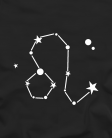 Zodiakas Liūtas
